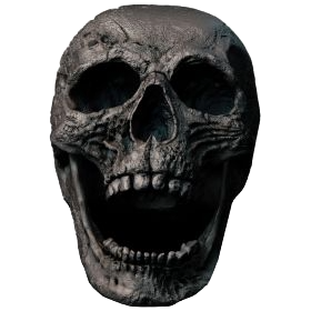 skull